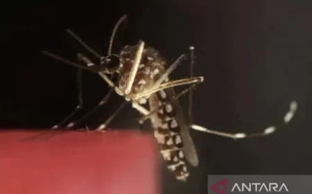 Kemenkes Dorong Penanganan Serius Penyakit ATM di Papua Pegunungan