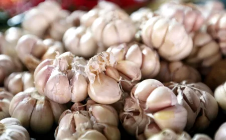 4 Bahaya Makan Bawang Putih Berlebihan yang Wajib Diketahui, Ini Risiko untuk Penderita Penyakit