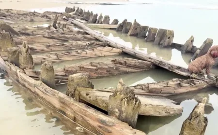 Bangkai Kapal Dagang Kuno di Hoi An Muncul Kembali, Simak Sejarahnya