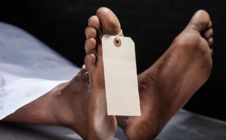 30 Orang Tewas dalam Tragedi Desak-desakan di Benteng Warisan Dunia Haiti