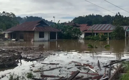 BPBD Sulteng Lakukan Pendataan Dampak Banjir Besar di Pamona Utara Poso
