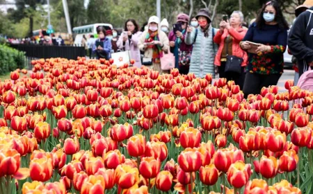 Cara Orang Kaya Taiwan Siapkan Plan B Antisipasi Ancaman Perang dengan China