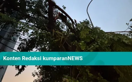 Hujan Lebat dan Angin Kencang Terjang Jakarta: Banjir dan Pohon Tumbang Melanda