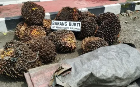 Pelaku Bajing Sawit di Labura Ditangkap, Dua Rekan Masih Buron