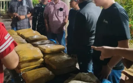Kurir Narkoba Buang 33 Ball Ganja di Madina Saat Panik Dikejar Polisi