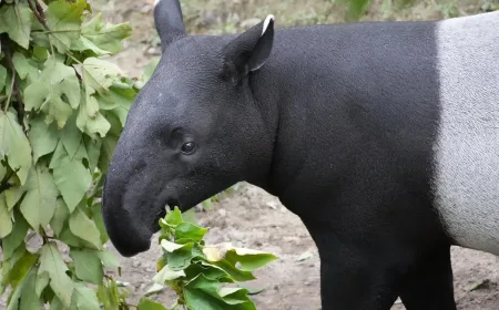 27 April Memperingati Hari Apa? Ini 5 Peringatan Penting yang Wajib Diketahui