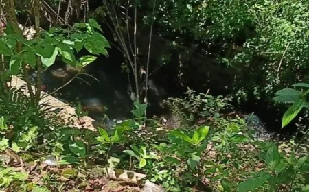 Hujan Deras Picu Longsor di Jember: Fondasi Rumah dan Irigasi Rusak Parah