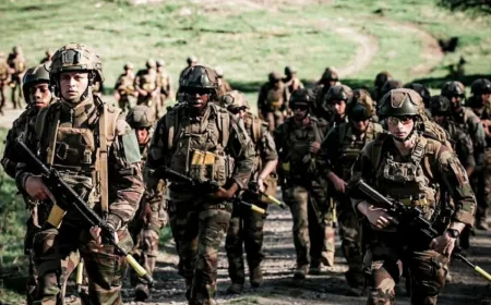 NATO Akan Jadi Macan Ompong Jika AS Keluar, Ini 4 Alasan Utamanya