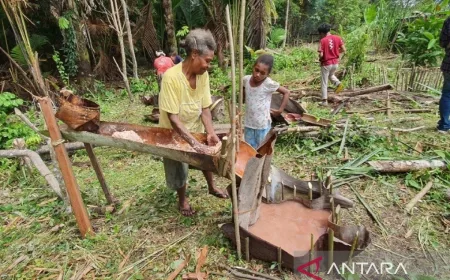 Festival Sagu Papua Dorong Percepatan Sertifikasi dan Perlindungan Komoditas Lokal