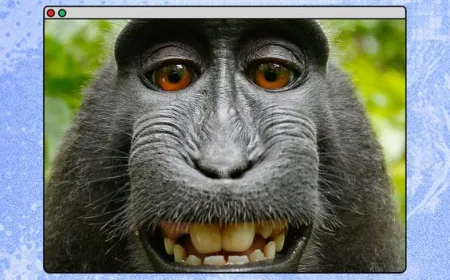 Selfie Monyet Ini Melindungi Hak Cipta di Era AI yang Semakin Mengancam