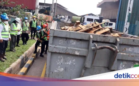 129 Ton Kulit Sapi Asal Jerman Positif PMK Dimusnahkan di Bogor