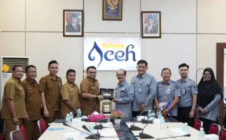 Celah Hukum Lagu Aceh: Ancaman Klaim Asing dan Pentingnya Regulasi KI Daerah