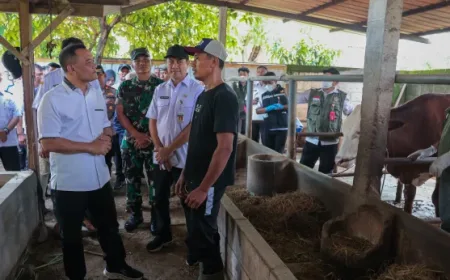 Layanan Kesehatan Hewan di Jawa Tengah Diperkuat Jelang Iduladha untuk Cegah Penyakit Ternak