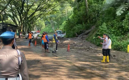 Longsor Jalur Ponorogo-Pacitan: Petugas Gabungan Bersihkan Material Berat