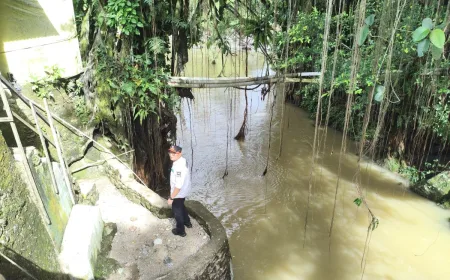 Sekda Pasaman Barat Tinjau Lokasi Banjir dan Pencarian Korban di Alahan Mati