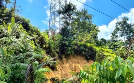 Bupati Barut Instruksikan Penanganan Darurat Tower Sikui Terancam Longsor