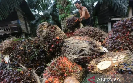 Penelitian Magister Sosiologi Ungkap Kunci Stabilitas Sosial di Industri Sawit Sambas