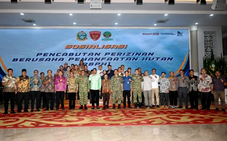 Bobby Nasution Minta Kajian Mendalam Pencabutan Izin Hutan di Sumut