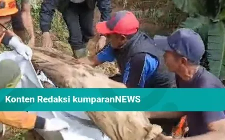 Longsor Pemakaman di Cianjur: Jenazah Muncul ke Permukaan dan Jalan Tertutup
