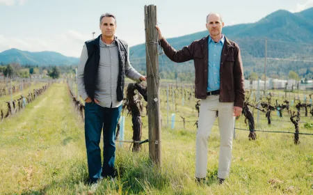 Perselisihan Keluarga di Kebun Anggur Oregon Berujung Denda Akibat Kasus AI Palsu