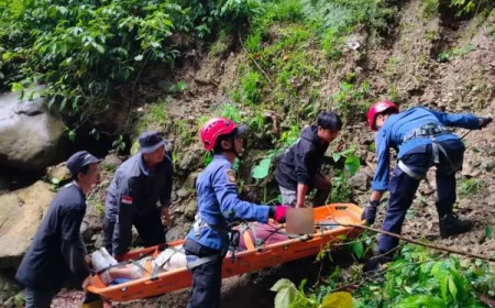 Kecelakaan Minibus Terjun Jurang 50 Meter di Malibou Anai Padang Pariaman, 7 Orang Luka