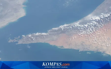 Harga Minyak Dunia Anjlok 10 Persen Setelah Selat Hormuz Dibuka Kembali