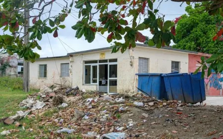 Rumah Penuh Sampah di Brookfield Laku Rp21,5 Miliar, Pembeli Berebut