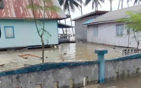 BPBD Sulteng Koordinasi Pendataan Dampak Banjir Rob di Buol dan Banggai Laut