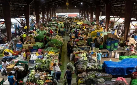 Sayur dan Buah Mengandung Mikroplastik Tertinggi: Apel dan Wortel Jadi Sorotan
