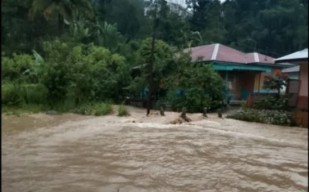 Banjir Melanda 4 Daerah di Sumut: Dampak dan Penanganan Terbaru