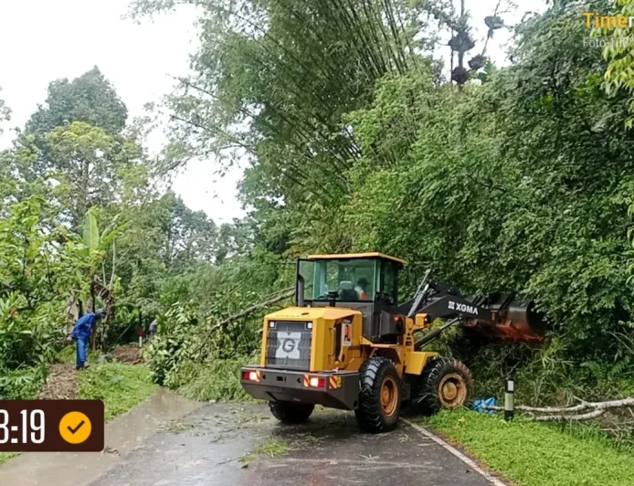 Longsor Tutup Jalan Penghubung Padang-Medan di Palupuh Agam, Ini Kondisinya