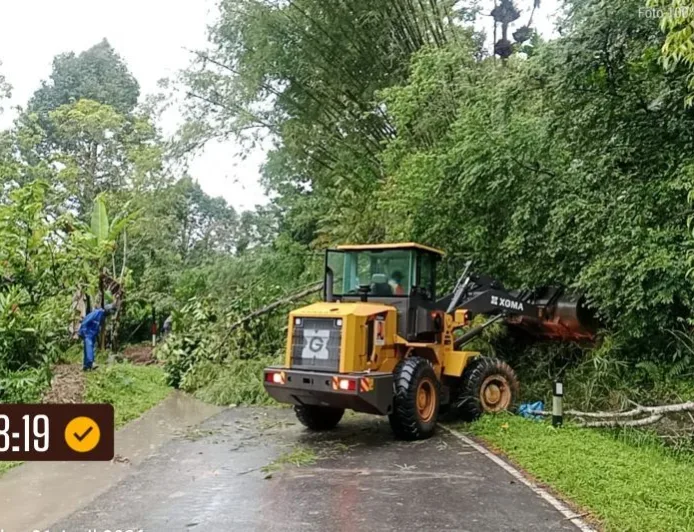 Jalan Penghubung Padang–Medan Tertimbun Longsor, Arus Lalu Lintas Terhambat