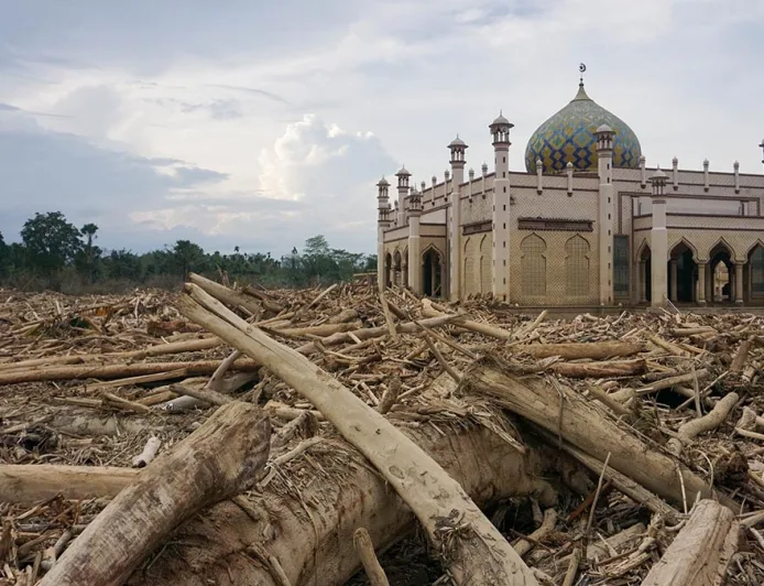 Luas Deforestasi Indonesia Melonjak 2025, Risiko Banjir di Sumatera Meningkat