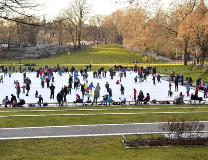 Negara Eropa Paling Mudah Beri Paspor untuk Imigran, Swedia Paling Unggul