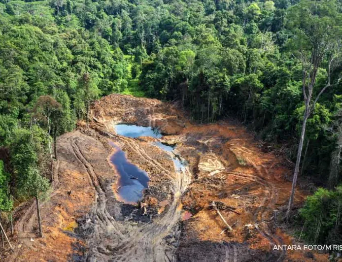 Deforestasi Indonesia 2025 Meningkat Signifikan, Ancaman Bencana Alam Bertambah