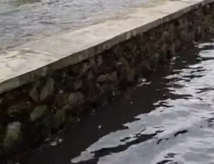 Banjir Jati Permai Akibat Meluapnya Aliran Sungai Citepus Setelah Hujan Deras