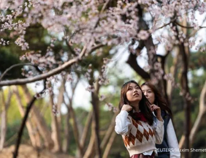 Wabah Penyakit Mulut dan Kuku Serotipe SAT-1 di China: Pemerintah Perketat Perbatasan dan Vaksinasi