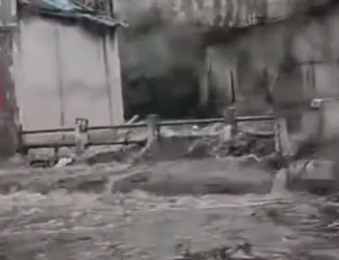 Banjir dan Angin Kencang Terjang Bandung: 23 Pohon Tumbang dan Satu Warga Terluka