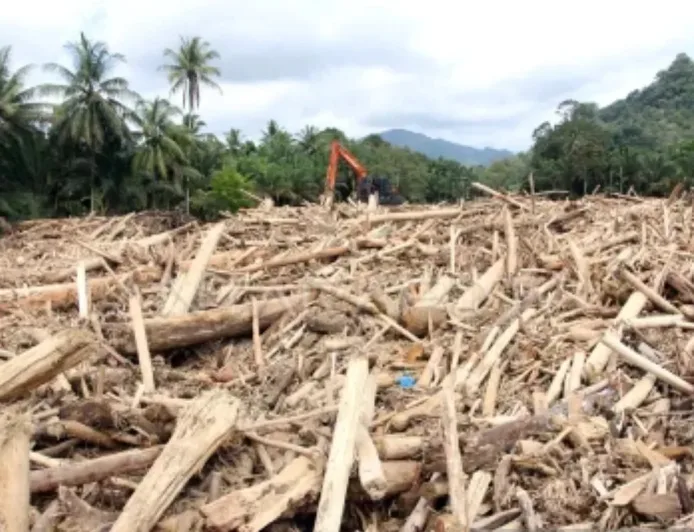 Kayu Hanyut Banjir Aceh-Sumut Dimanfaatkan Jadi Material Huntara, Ini Skemanya