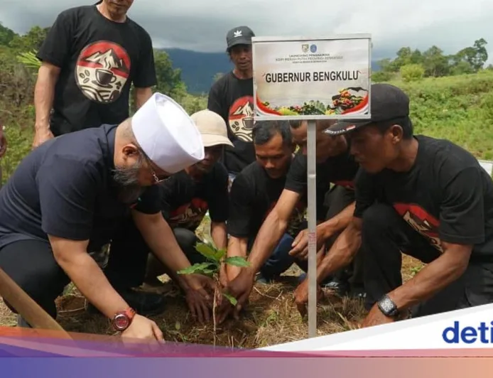 Bengkulu Dapat Rp 23,55 M untuk Transformasi Ekonomi Perhutanan Sosial dan Kopi Robustanya