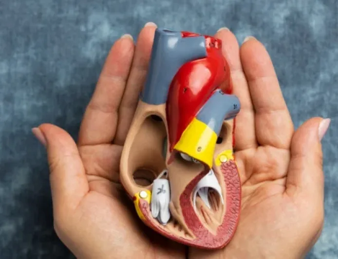 Waspada Kanker Ginjal: Penyakit Mematikan yang Sering Tak Terdeteksi Dini