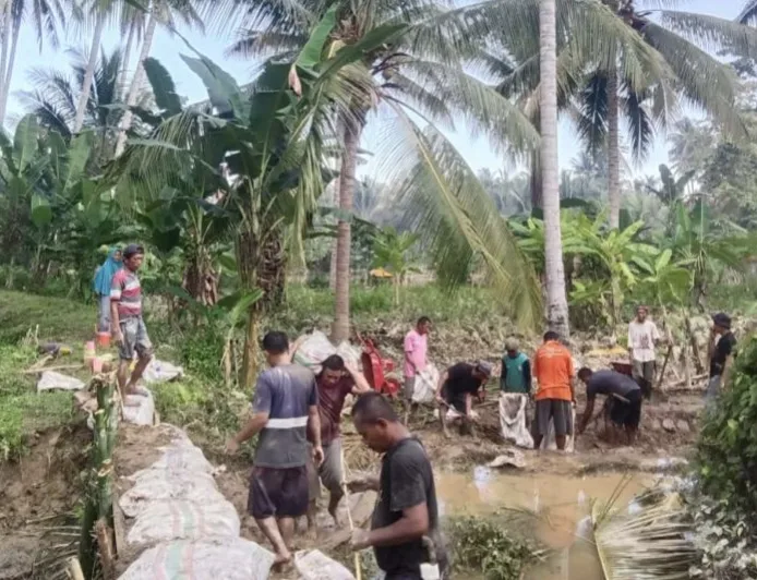 BPBD Parimo Pasang Tanggul Darurat di Sungai Moutong Pascabanjir Besar