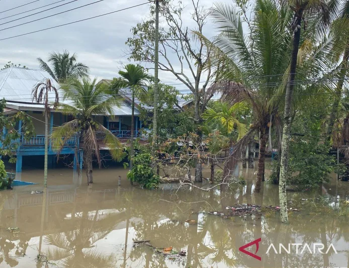 Banjir Bengkulu Terparah: Ratusan Rumah Terendam dengan Air Setinggi Satu Meter