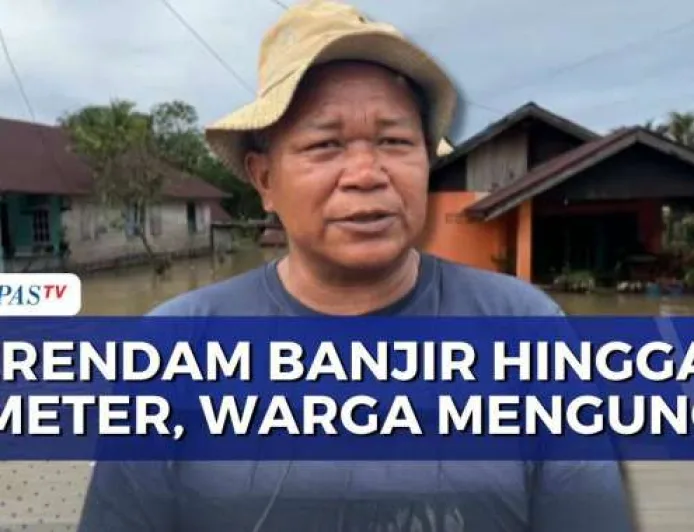 Banjir Setinggi 2 Meter Rendam Dua Kelurahan di Bengkulu, Warga Terpaksa Mengungsi
