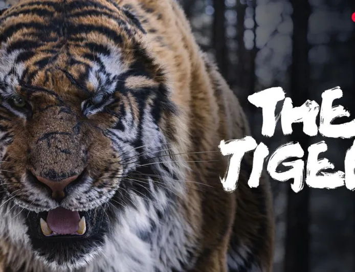 Sinopsis Film Korea The Tiger di Vidio: Duel Epik Pemburu dan Harimau Terakhir Joseon