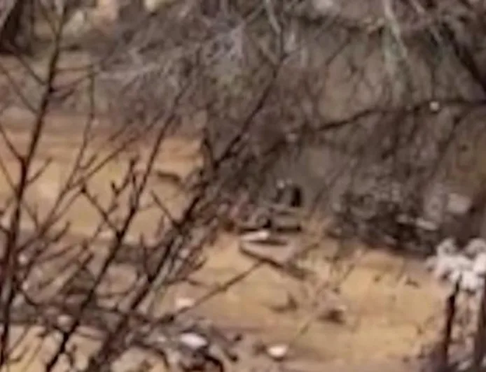 Banjir Besar di Dagestan: Penampakan Bangunan Roboh dan Dampaknya