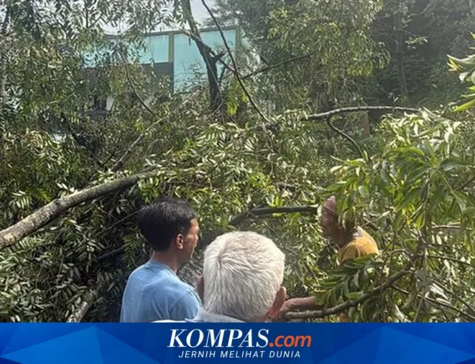 BMKG Ungkap Penyebab Longsor di Bogor, Sumedang, dan Garut Akibat Cuaca Ekstrem