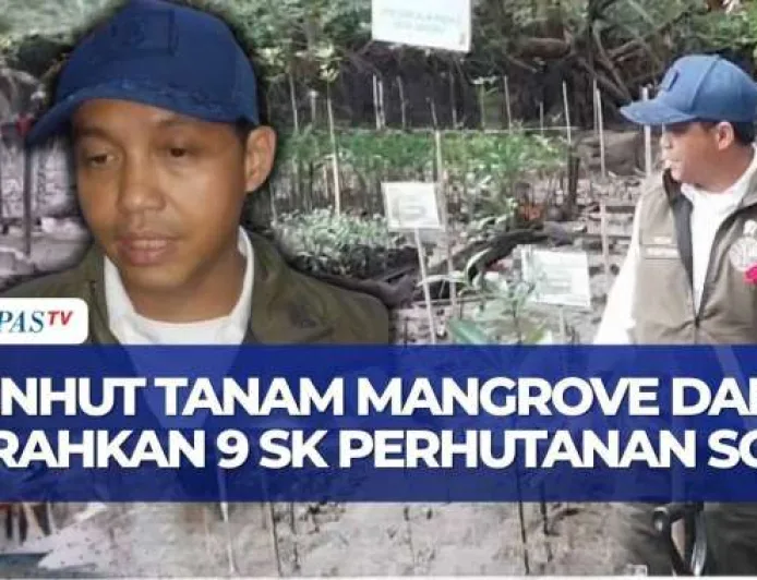 Menhut Raja Juli Tanam Mangrove dan Serahkan 9 SK Perhutanan Sosial di Minahasa Utara
