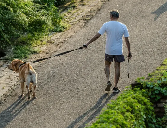 Wellness Bukan Gaya Hidup Mewah: Mengungkap Fakta yang Sering Keliru