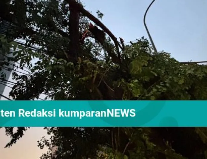 Hujan Lebat dan Angin Kencang Terjang Jakarta: Banjir dan Pohon Tumbang Melanda
